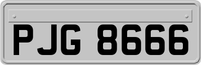 PJG8666
