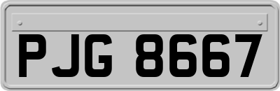 PJG8667