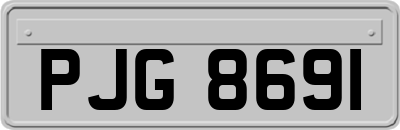 PJG8691