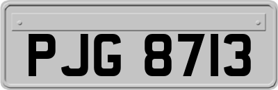 PJG8713
