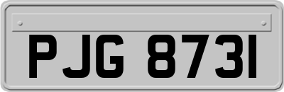 PJG8731