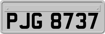 PJG8737