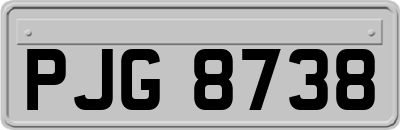 PJG8738
