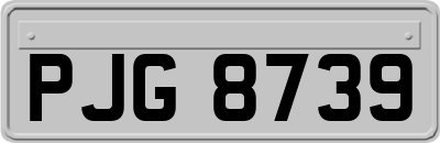 PJG8739