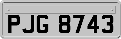 PJG8743