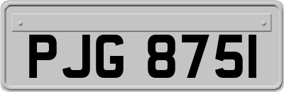 PJG8751