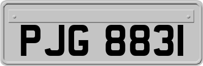PJG8831