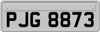 PJG8873