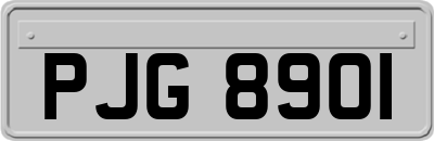 PJG8901