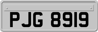 PJG8919