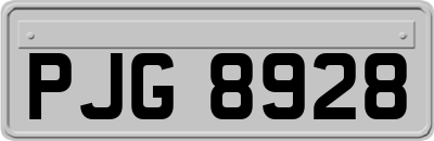 PJG8928