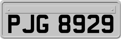 PJG8929
