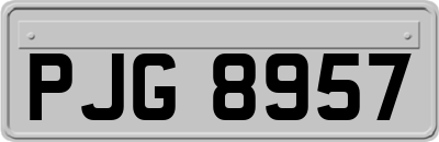 PJG8957