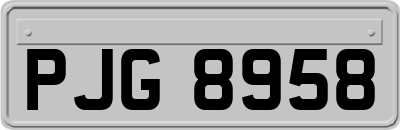 PJG8958
