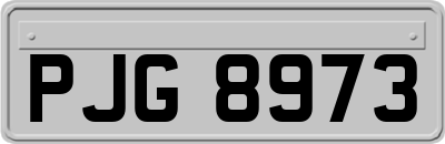 PJG8973