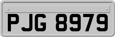 PJG8979