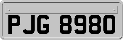 PJG8980