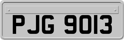 PJG9013