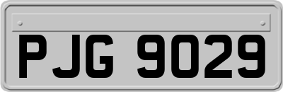PJG9029