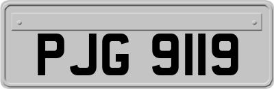 PJG9119