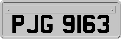 PJG9163