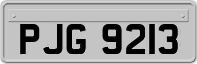 PJG9213