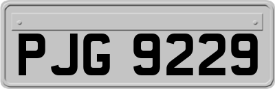 PJG9229