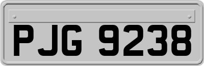 PJG9238