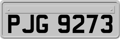 PJG9273