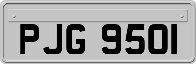 PJG9501