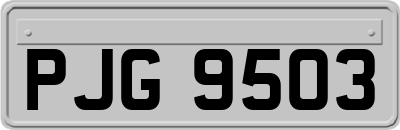 PJG9503