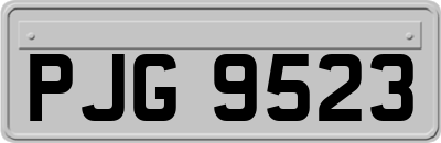 PJG9523