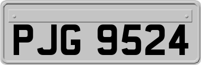 PJG9524