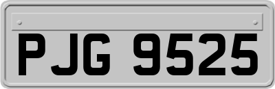 PJG9525