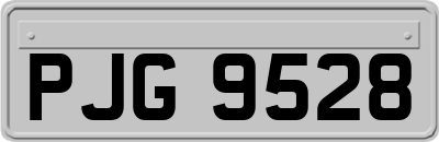 PJG9528