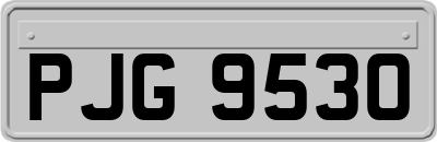 PJG9530