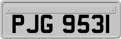 PJG9531