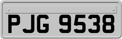 PJG9538