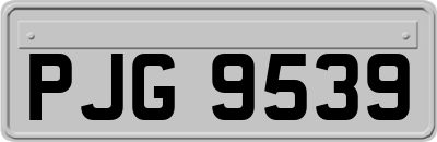 PJG9539