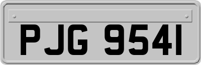 PJG9541