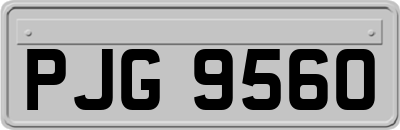 PJG9560