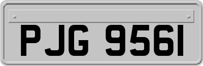 PJG9561