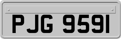 PJG9591