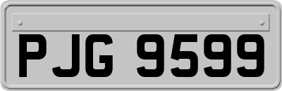 PJG9599