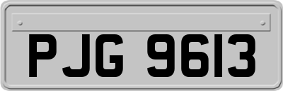 PJG9613