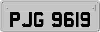 PJG9619