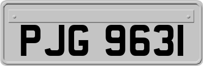PJG9631