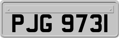 PJG9731