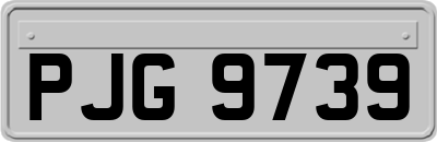 PJG9739