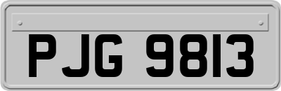 PJG9813